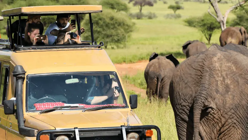 Yurtdışı Tatil Yerleri En İyi Destinasyonlar Kenya