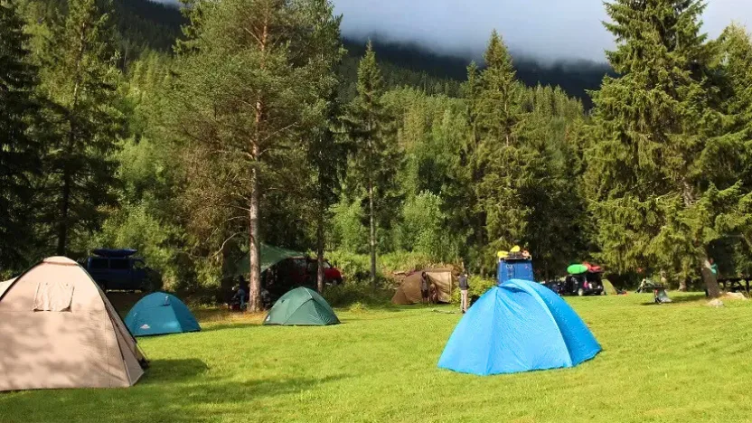 Sapanca Yanık Köyü Kamp Alanı